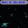 IRAS 16286+0347