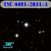 TYC 4493-2031-1