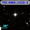 TYC 4493-2113-1