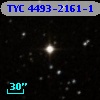 TYC 4493-2161-1
