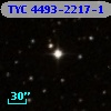 TYC 4493-2217-1