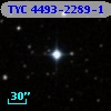TYC 4493-2289-1