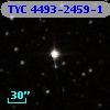 TYC 4493-2459-1