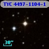 TYC 4497-1104-1