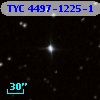 TYC 4497-1225-1