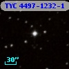 TYC 4497-1232-1