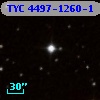 TYC 4497-1260-1