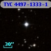 TYC 4497-1333-1