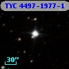 TYC 4497-1977-1