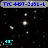 TYC 4497-2181-1