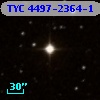 TYC 4497-2364-1