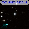 TYC 4497-2427-1