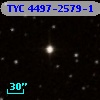 TYC 4497-2579-1