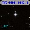 TYC 4498-1442-1