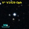 V* V1429 Oph
