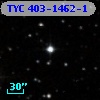 TYC  403-1462-1