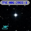 TYC  406-2955-1
