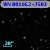 WN B0116.2+7503