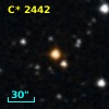 C* 2442
