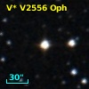 V* V2556 Oph