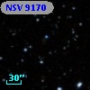 NSV  9170