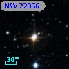 NSV 22356