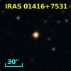 IRAS 01416+7531