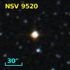 NSV  9520
