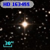 HD 163488