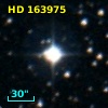 HD 163975