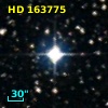 HD 163775