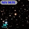 NSV  9878