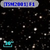 [TSM2001] F1