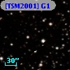 [TSM2001] G1