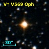 V* V569 Oph