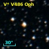 V* V486 Oph