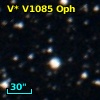 V* V1085 Oph