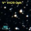 V* V429 Oph