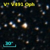 V* V491 Oph