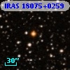 IRAS 18075+0259