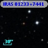 IRAS 01233+7441