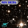 NSV 10291