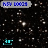 NSV 10028