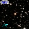 NSV 10232