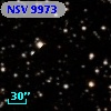 NSV  9973