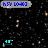 NSV 10403