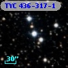 TYC  436-317-1
