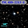 TYC  439-2217-1