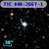 TYC  440-2667-1