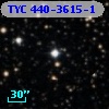 TYC  440-3615-1
